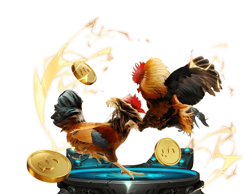 Khuyến mãi thể thao CF68